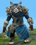 Aetherblade Grenadier (female 2).jpg