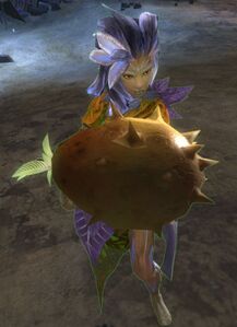 Emissary Gift Carrier.jpg