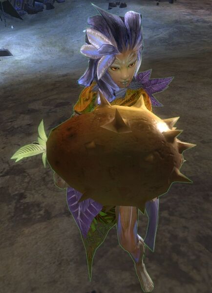 File:Emissary Gift Carrier.jpg