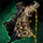 Mordant Scutum.png