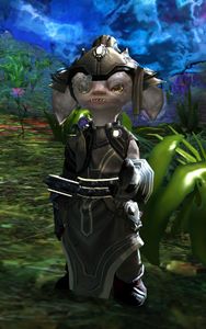 Mysterious Stranger.jpg