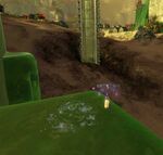 Playing with the Infants18-location.jpg