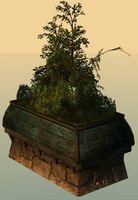 Rectangular Planter.jpg