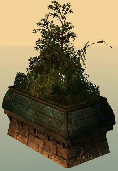 File:Rectangular Planter.jpg