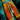 Seaside Scholar's Shorts.png