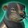 Striped Brushtail Springer.png