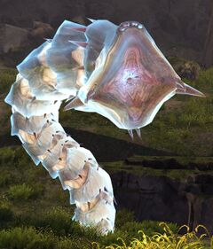 Veteran Ghost Siege Wurm.jpg