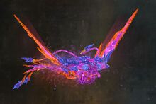 Vital Geode Wavehawk Skimmer1.jpg