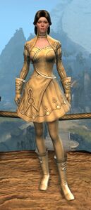 Appearance on light armor.
