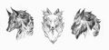 "Wolf Jackal" concept art 02.jpg