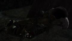Asura Corpse.jpg