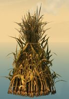 Bundle of Corn Stalks front.jpg