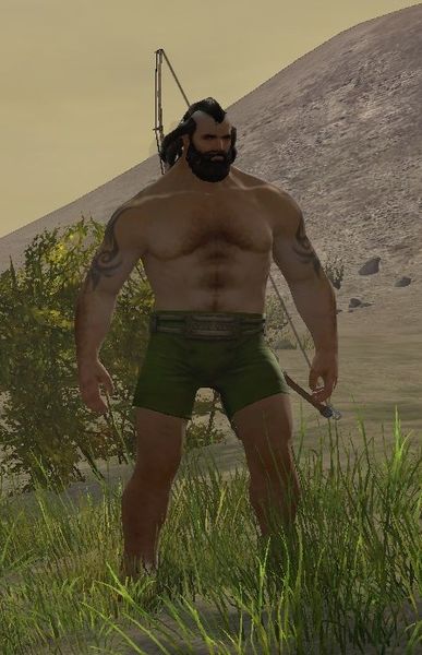 File:Champion Dorrik the Wanderer.jpg