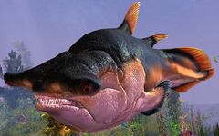 Coelacanth (alt2).jpg