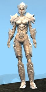 Appearance on heavy armor.