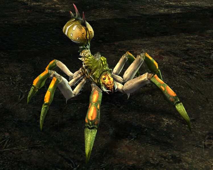 File:Forest Spider.jpg