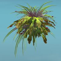 Island Shrub (Bunch).jpg