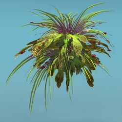 Island Shrub (Bunch).jpg