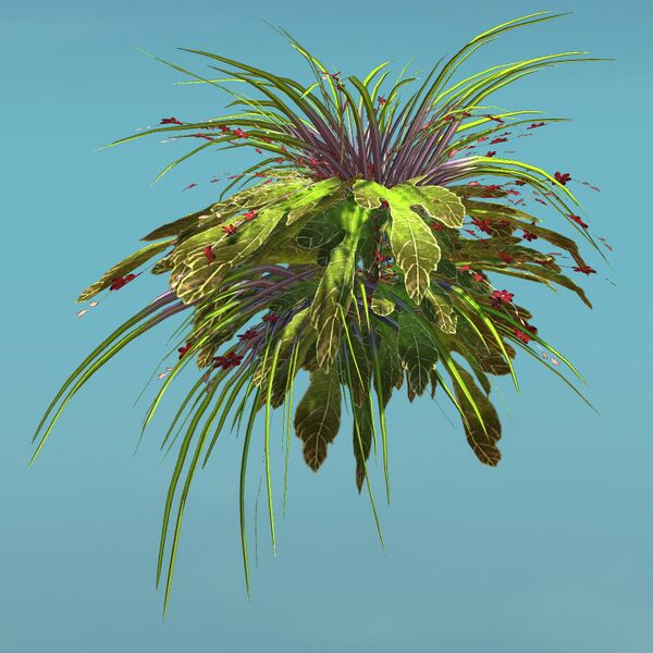 File:Island Shrub (Bunch).jpg