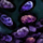 Jungle Grass Seed.png
