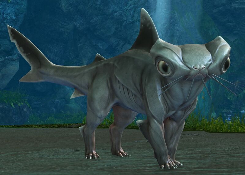 File:Kitshark.jpg