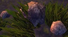 Loose Rocks.jpg