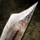 Reclaimed Sword.png