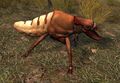 Termite (Crystal Desert).jpg