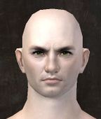 Unique human male face front 9.jpg