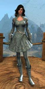 Appearance on light armor.
