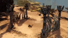 Bonecage Paddock.jpg