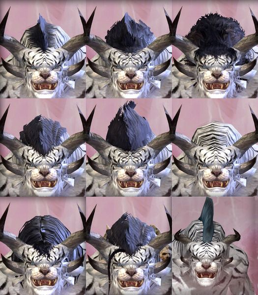 File:Charr male hair styles.jpg