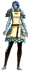 Guild Defender armor sylvari female front.jpg