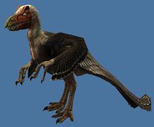 Mini Vulture Raptor.jpg