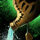 Pour One Out for the Lost Spirits.png