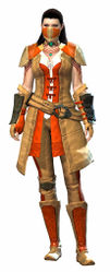 Rawhide armor norn female front.jpg