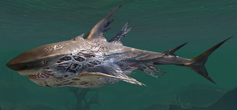 File:Risen Shark.jpg