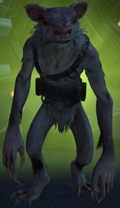 Subject S.jpg