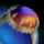 Sunset Ring.png