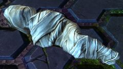 Body Bag.jpg