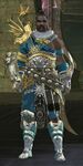 Heavy armor