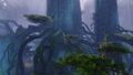 Echovald Forest