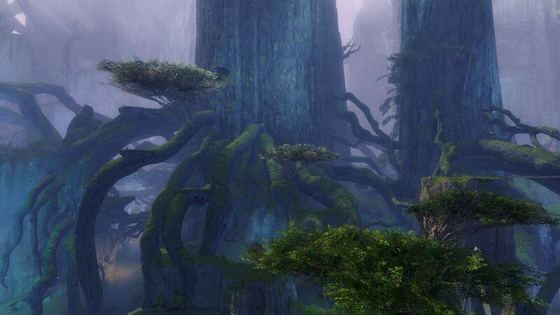 File:Echovald Forest.jpg
