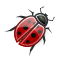 Bug notice