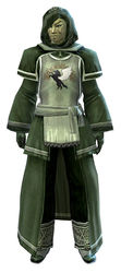 Guild Archmage armor sylvari male front.jpg