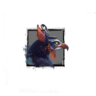 Juvenile Phoenix.png