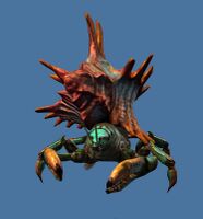 Mini Hermit Crab.jpg
