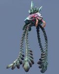 Reef Rider.jpg