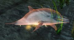 Sun Spirit (underwater).jpg