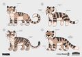 "Plushie Tiger Warclaw Designs" concept art.jpg